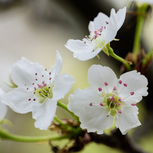 摄像头中年夫妻真实在线
